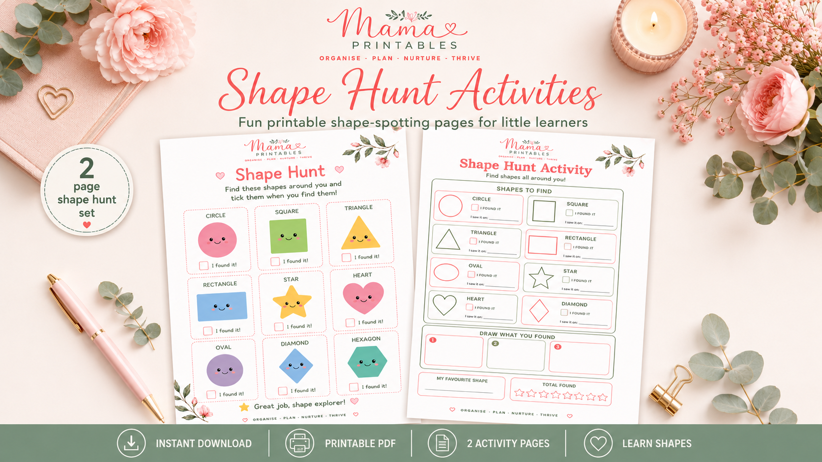 Shape Hunt Activity preview