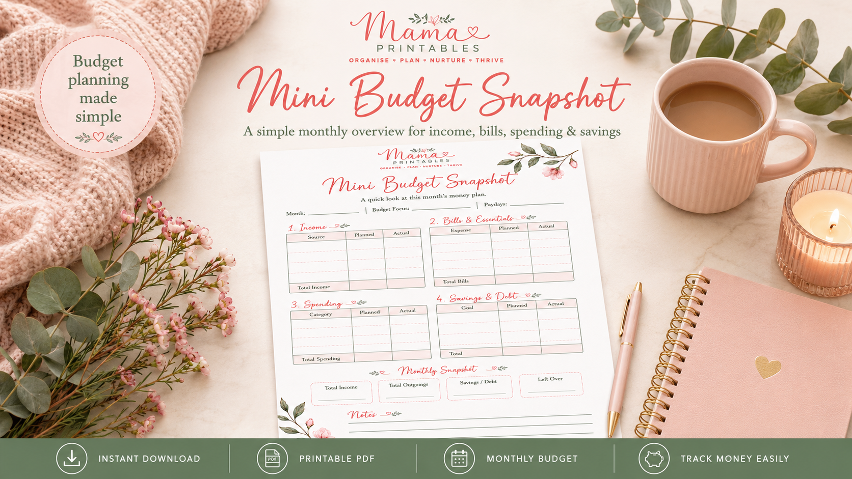 Mini Budget Snapshot preview